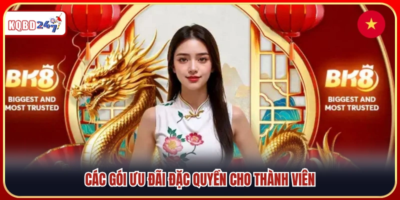 Các ưu đãi và chương trình thưởng dành cho thành viên